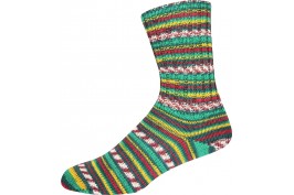 Supersocke 100 Winter Color 3354